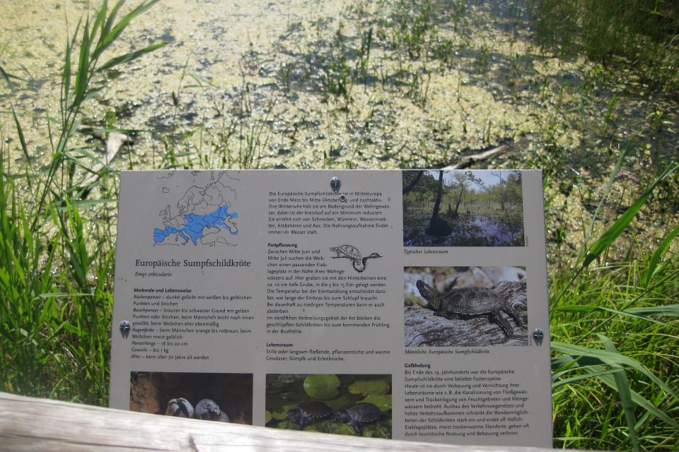 NABU-Naturerlebniszentrum Blumberger Mühle Sumpfschildkrötenteich, Foto: Anet Hoppe, Lizenz: Anet Hoppe